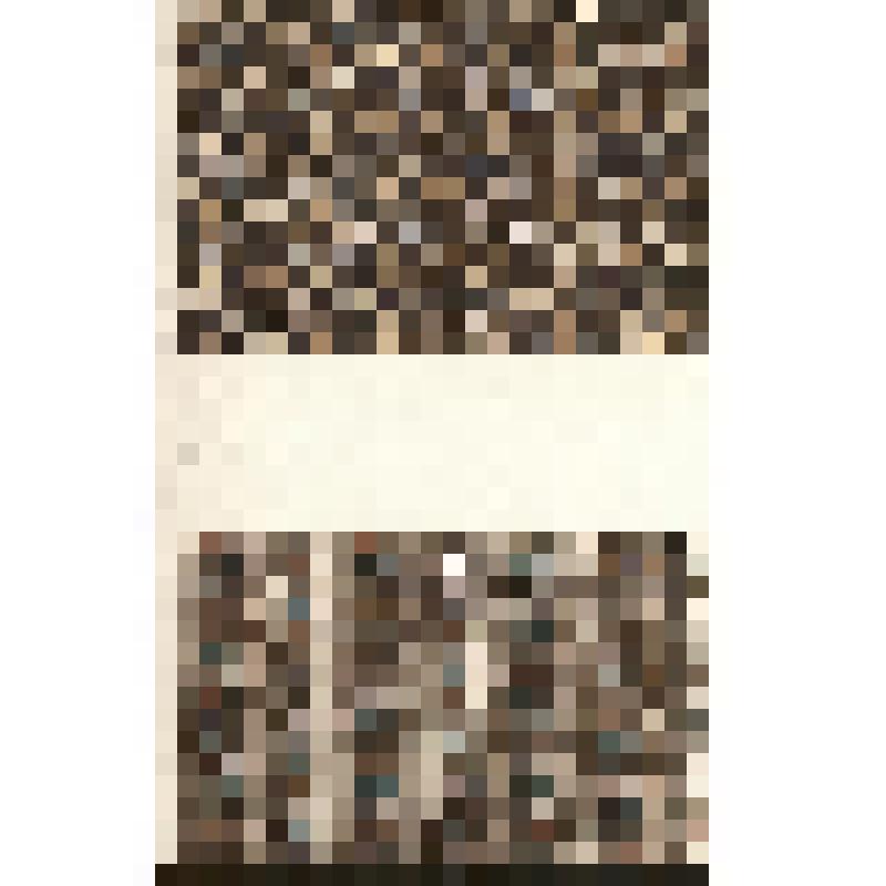 Зарисовка орнаметов набоек. Из альбома зарисовок «Русская набойка»