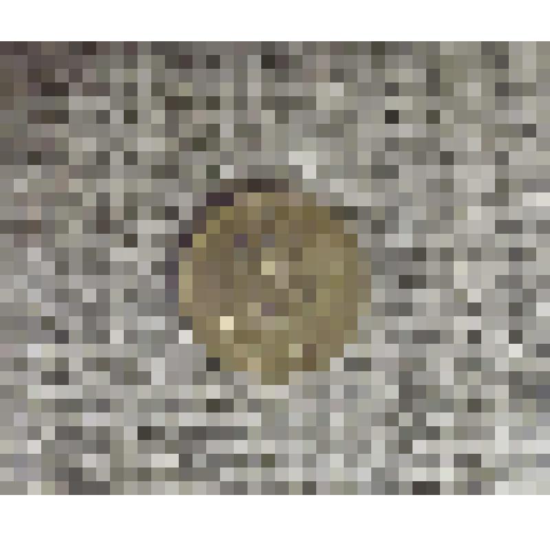 Монета. Две копейки