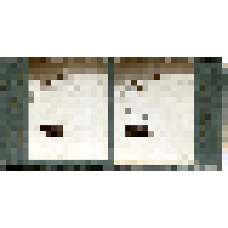 Карточка для стереоскопа «Отдых под западной вершиной Эльбруса (15 т. ф. н. у. м.) верхняя часть ледника Большой Азау». Из коллекции «Кавказ» с видами природы Западного Кавказа, серии 3-№10. Автор фото Н.Л. Минервин