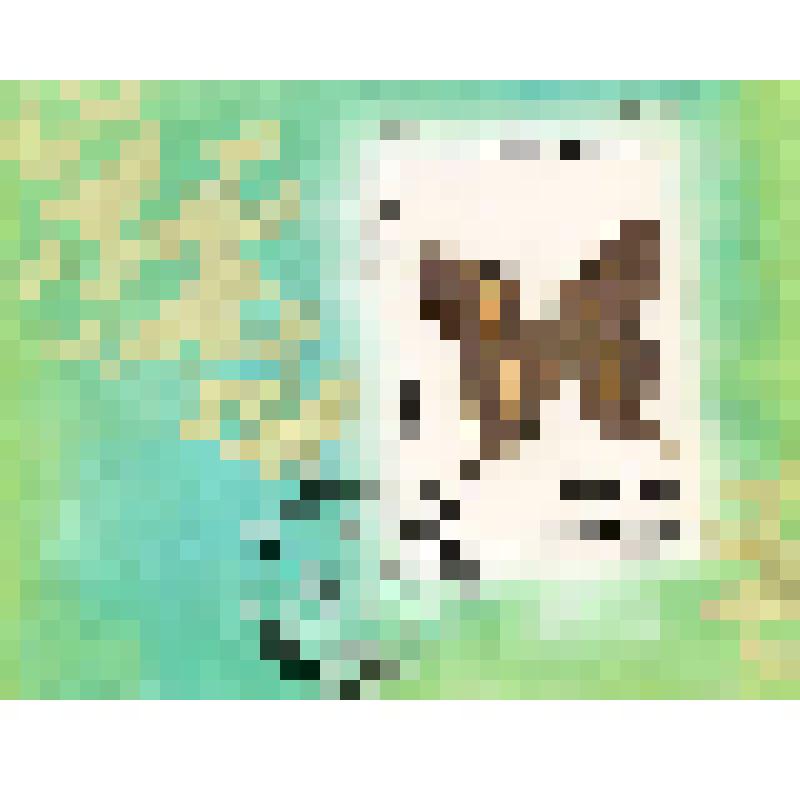 Марка № 123 "Бабочка". Почтовые марки Малайзии. Из комплекта: Коллекция марок "125 лет почтовой марке"