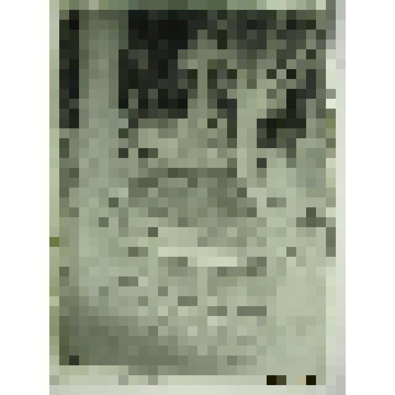 Данилов монастырь, г. Москва. Данилов монастырь. Надгробие В.Г. Перова. Общий вид