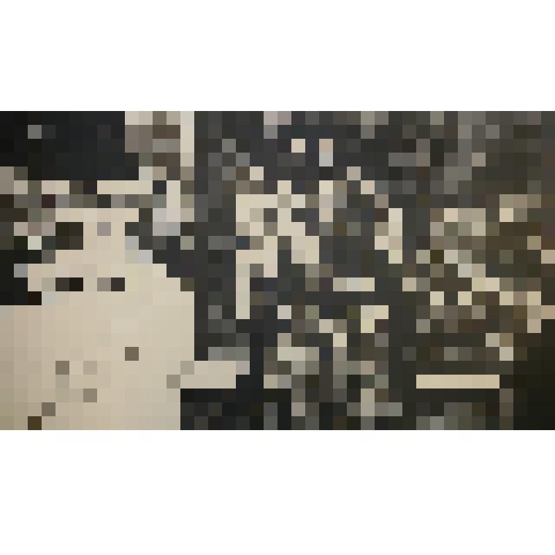 Из сельского клуба