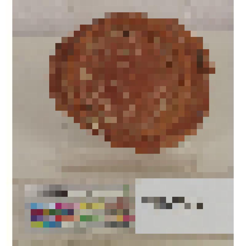 Донце красноглиняной чаши