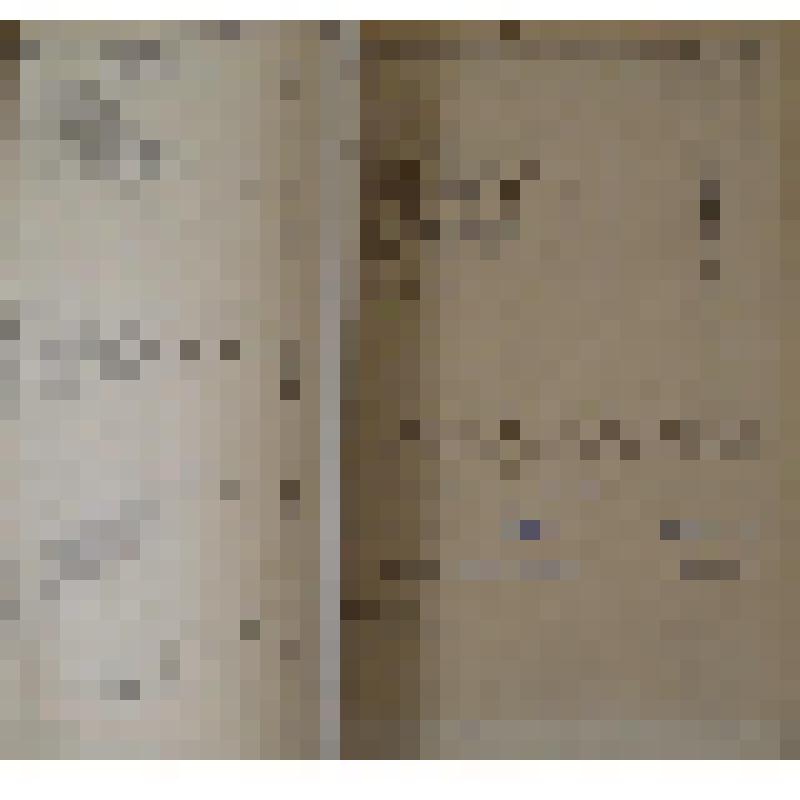 Документ. "Бухгалтерия НССЗ. Годовой отчет за 1945 год"