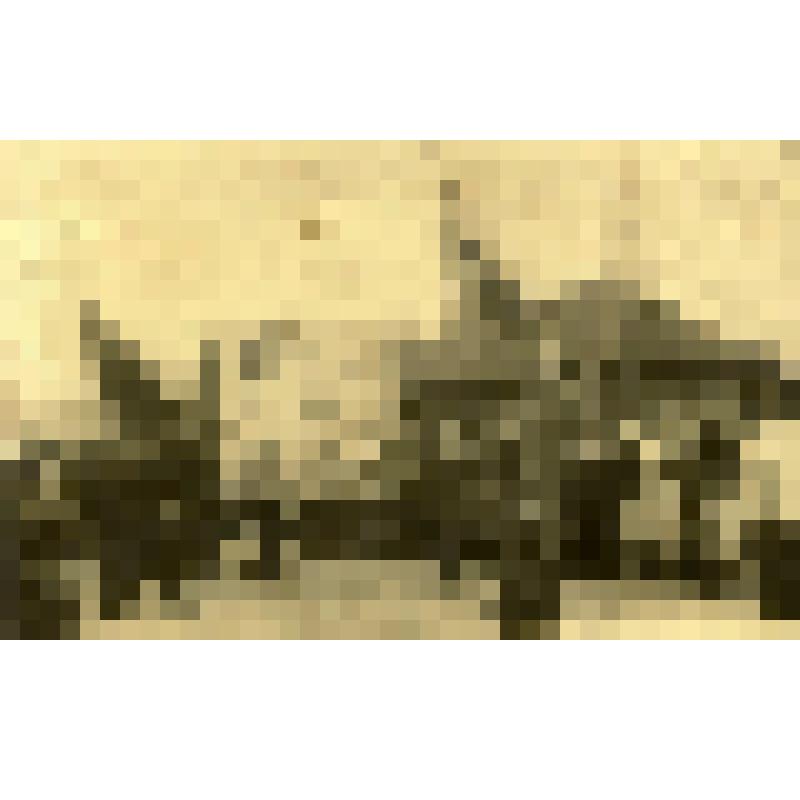 Колонна демонстрантов на ул. Сюгаильская