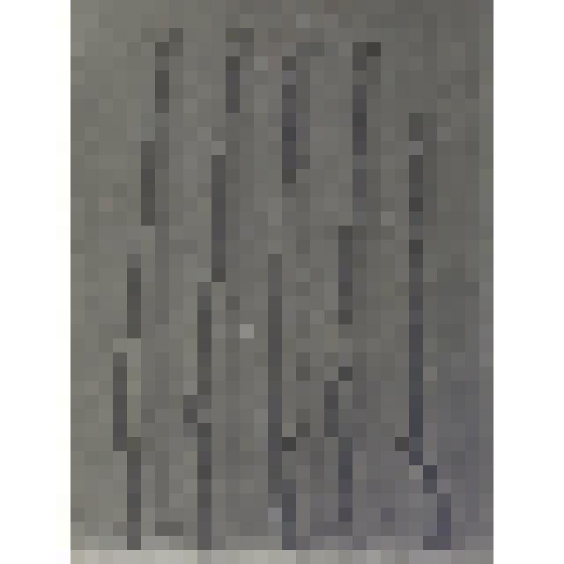 Негатив на стеклянном носителе. Ружья (jezail) (5 пр.). Индийцы, сикхи