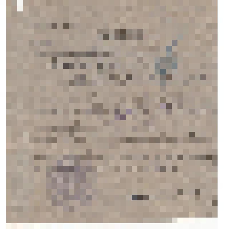 Извещение о гибели красноармейца Никитина Павла Михайловича. Документ выдан Биряковским райвоенкомом в 1944-1949 гг. Адресовано Никитиной Анне Ивановне