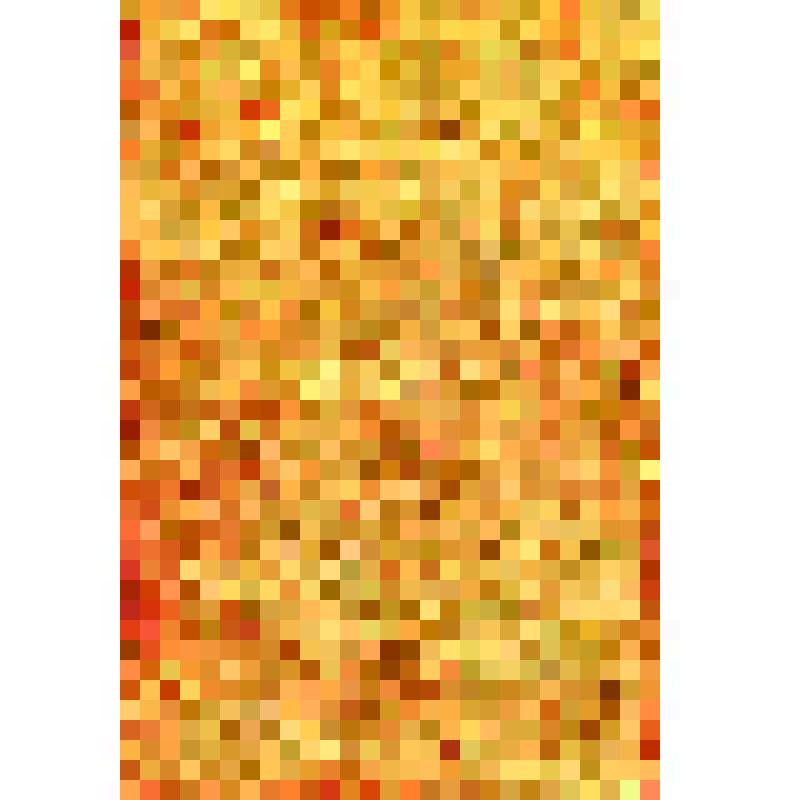 Книжка красноармейская. Выдана Макарову И. Н. командиром роты. 25 декабря 1945 г