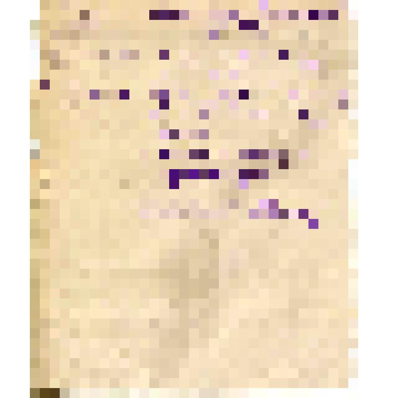 Письмо Заведующему Канцелярией ГИМа от директора музея "Александровской слободы" Яковлева Н.А. о том,что на сторожа Барсукова Ф.Н. направлены личный листокпо учету кадров и выписка из паспорта