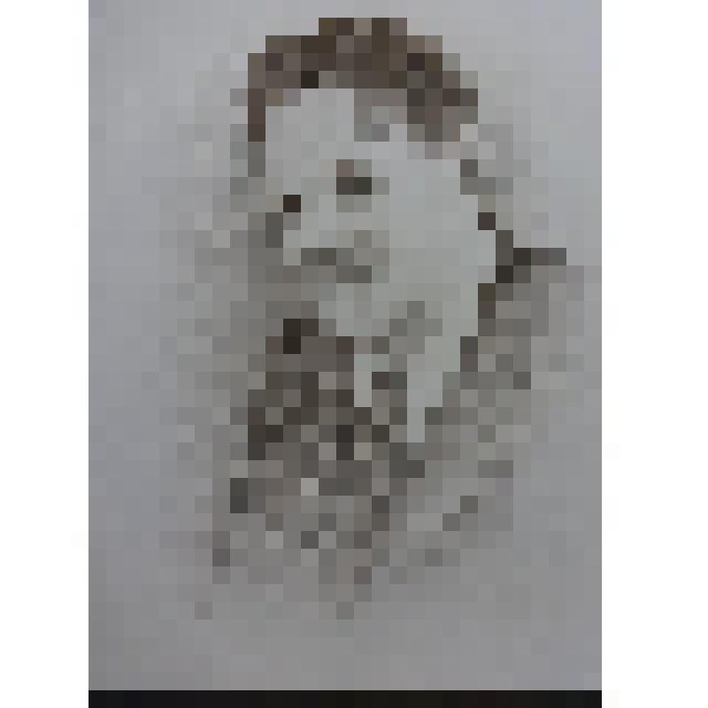 Рисунок. Портрет Рафката Бикчентаева