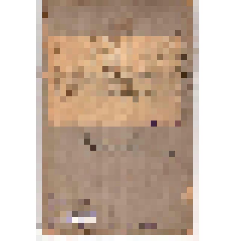 Фото. Веселков. Революционер