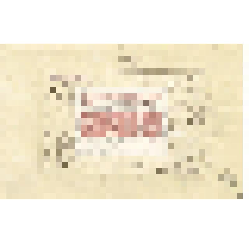 Письмо, открытое Саккардо Н. М. Мартьянову с уведомлением о получении его письма и сообщением, что посланную им коллекцию сибирских грибов он изучит и   сообщит своё мнение