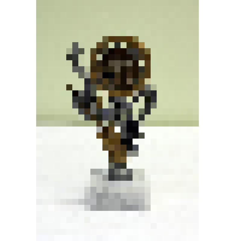 Приз "За эффективную поддержку СМИ 2007 Журналист"