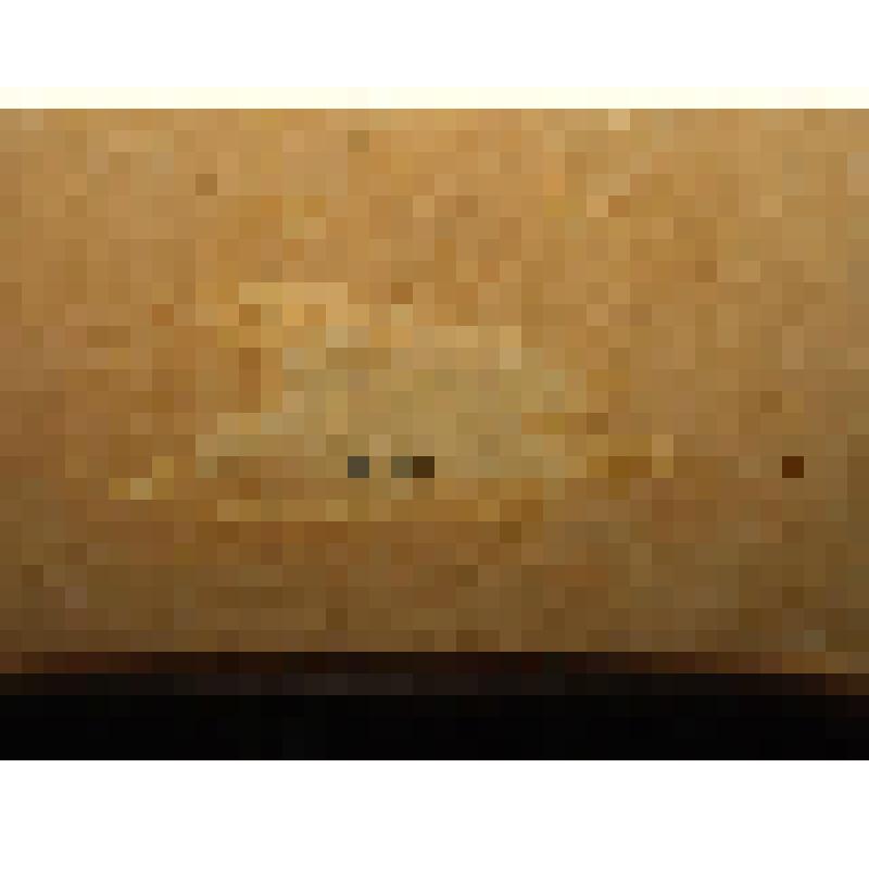 Стул гнутарный с растительным рисунком на сиденье