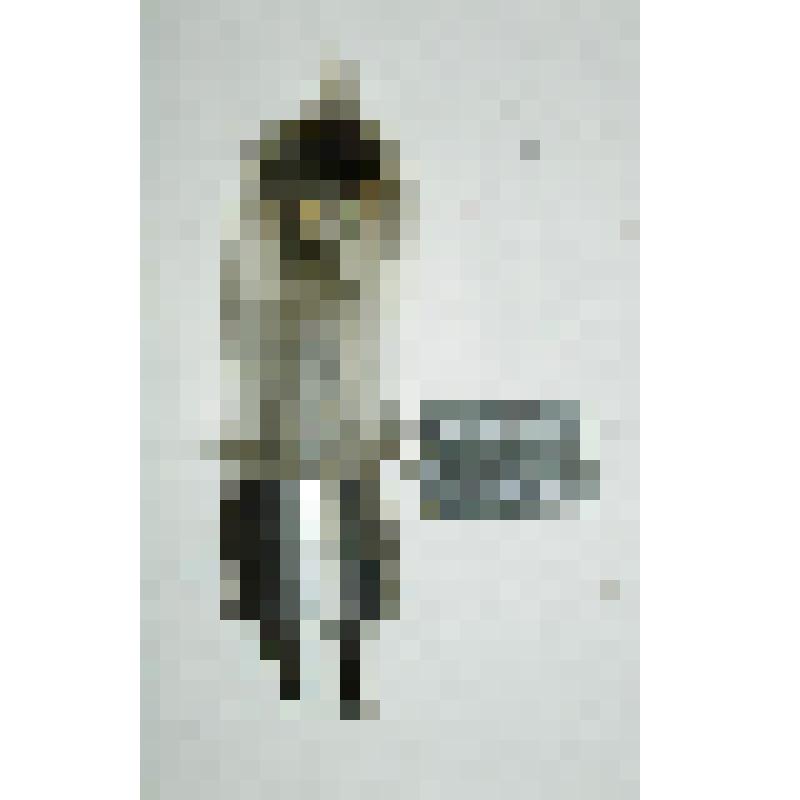 Приемно-усилительная лампа системы проф. М.М. Богословского