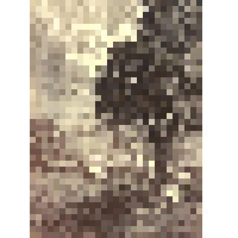 Пастушок. По рисунку И.Т.Григорьева