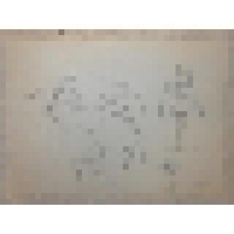 Эскиз куклы. Персонажи "Жуки навозники". "Из жизни насекомых". Воронеж, Театр кукол «Шут»