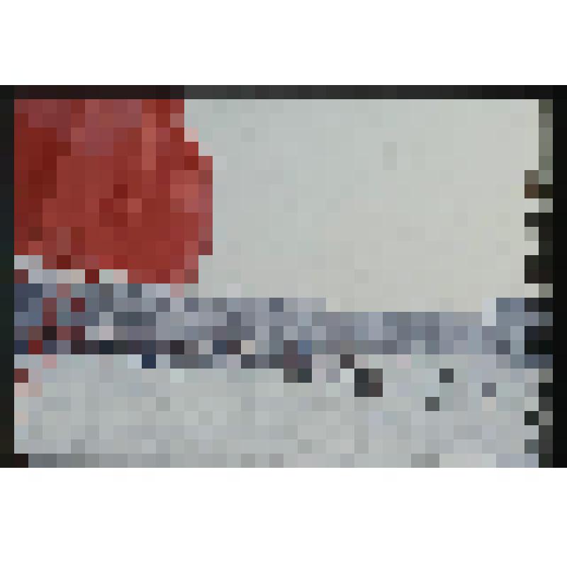 Диапозитив. Лыжный праздник на Северо-Западе в Челябинске