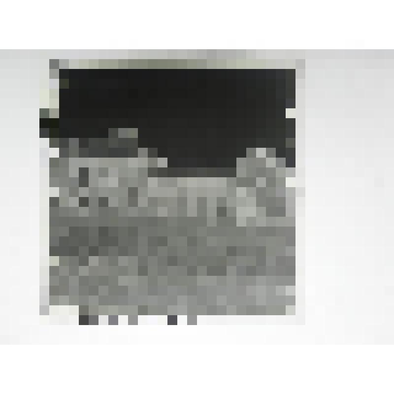 Дом Брусаловых. Ул. О.Кошевого, 14/43. 1905-1906 гг. Челябинская  обл., Кусинский р-н, г. Куса. Дом Брусаловых. Ул. О.Кошевого, 14/43. 1905-1906 гг. Фасад дома и ворота по ул. О.Кошевого