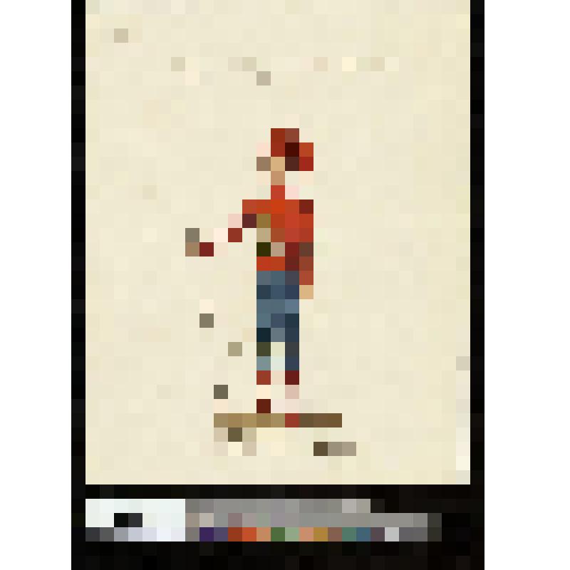 Начальник обоза полка гвардии султана турецких войск