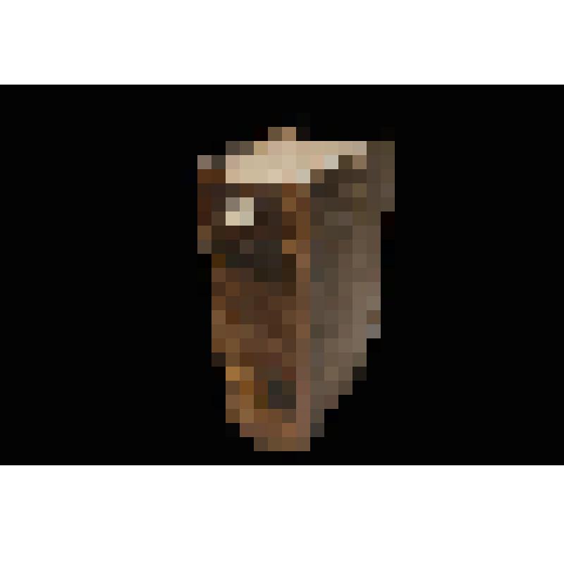 Книга старопечатная. Деяния церковная и гражданская. Ч.I. М., Печат. двор,1719