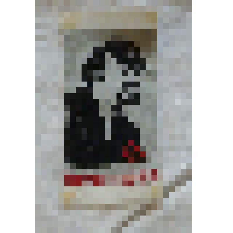 Вымпел. В. И. Ленин