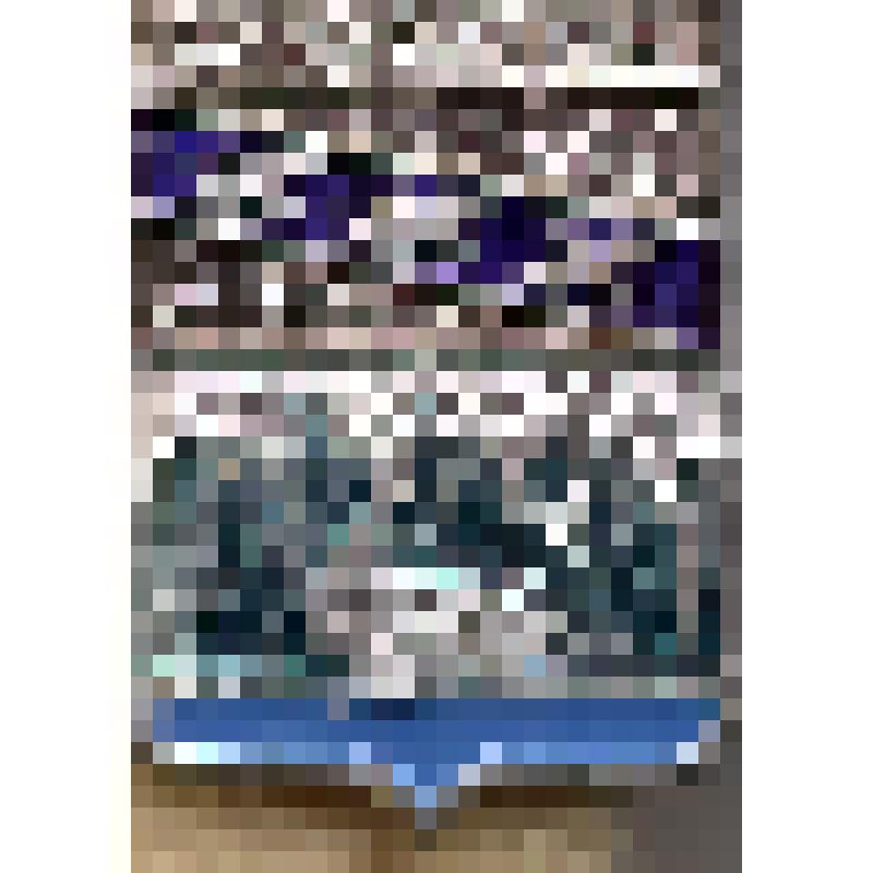 Значок нагрудный с изображением герба г.Суджи. Из коллекции по теме: "Геральдика"