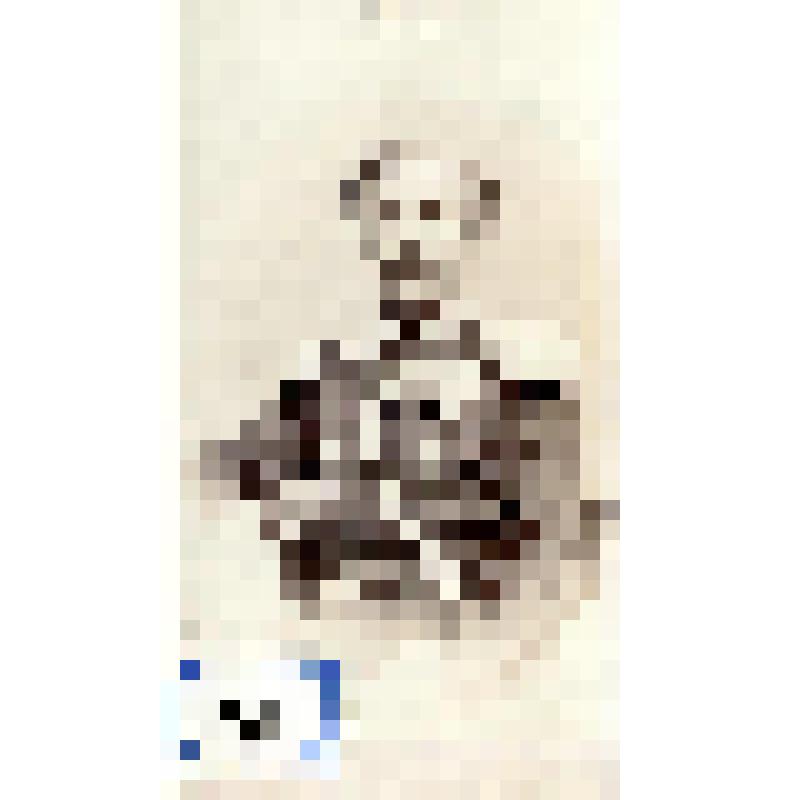 Фотография черно-белая. Котаньев Алексей Алексеевич