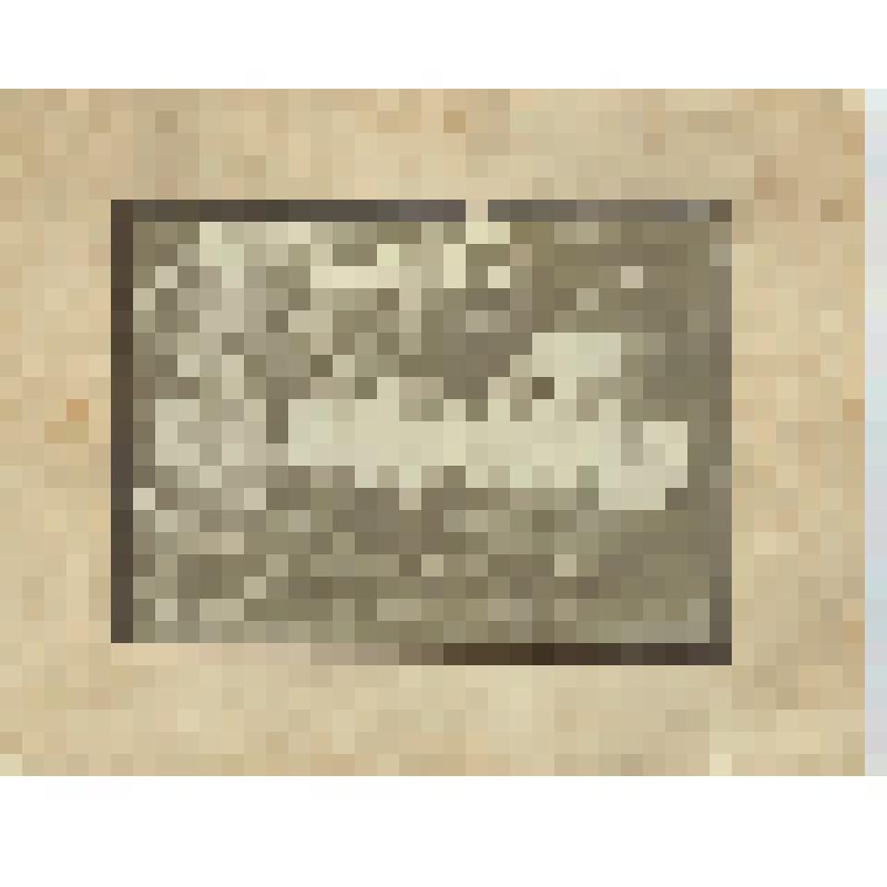 Фото групповое, на паспарту: родители Жухевича А.А., отец Жухевич А. (верхний ряд слева крайний), мать (сидит справа крайняя)