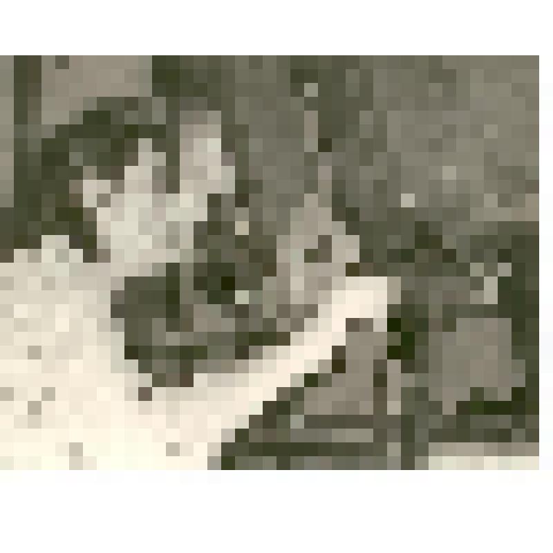 Фотография. Давыдова Наталья Андреевна, оператор Саратовского телевизионного центра, из коллекции материалов Давыдова Леонида Николаевича, старшего инженера Саратовского областного радиотелевизионного передающего центра, и его жены Давыдовой Натальи Андре