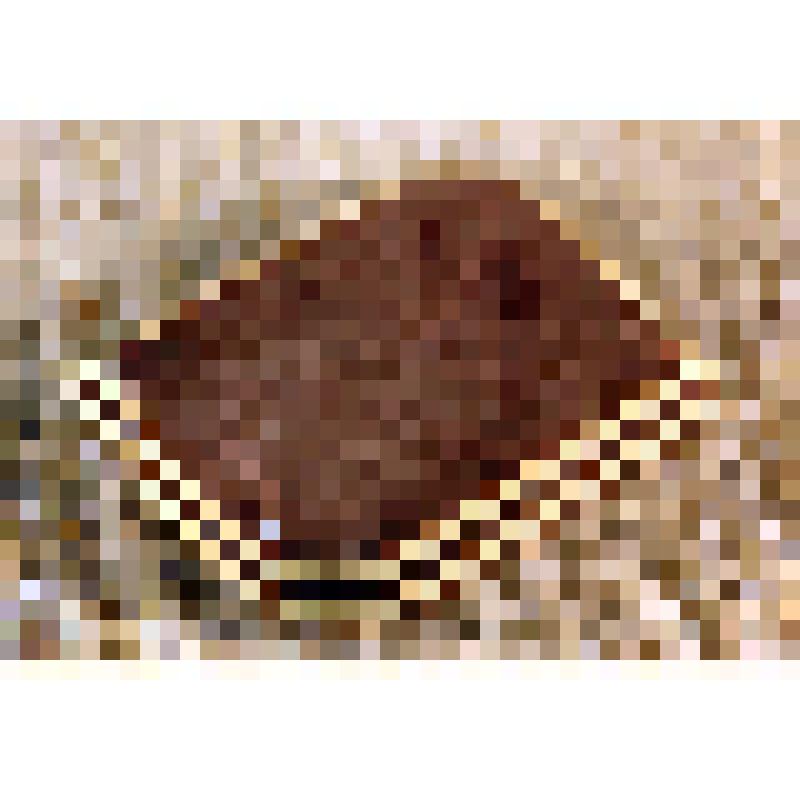 Пуговица коричневая с белыми полосами, из коллекции бытовых предметов семьи Соломоновой Любови Яковлевны, зам.директора СОМК по развитию музея