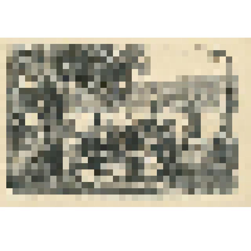 Фотография. Семья Гармаевых с друзьями на отдыхе у оз.Верхнего в городском парке культуры и отдыха