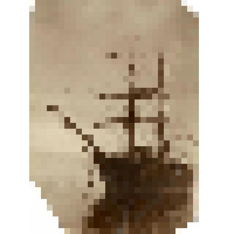 Фотография. "Заря"-судно, на котором совершил экспедицию Э.Толль