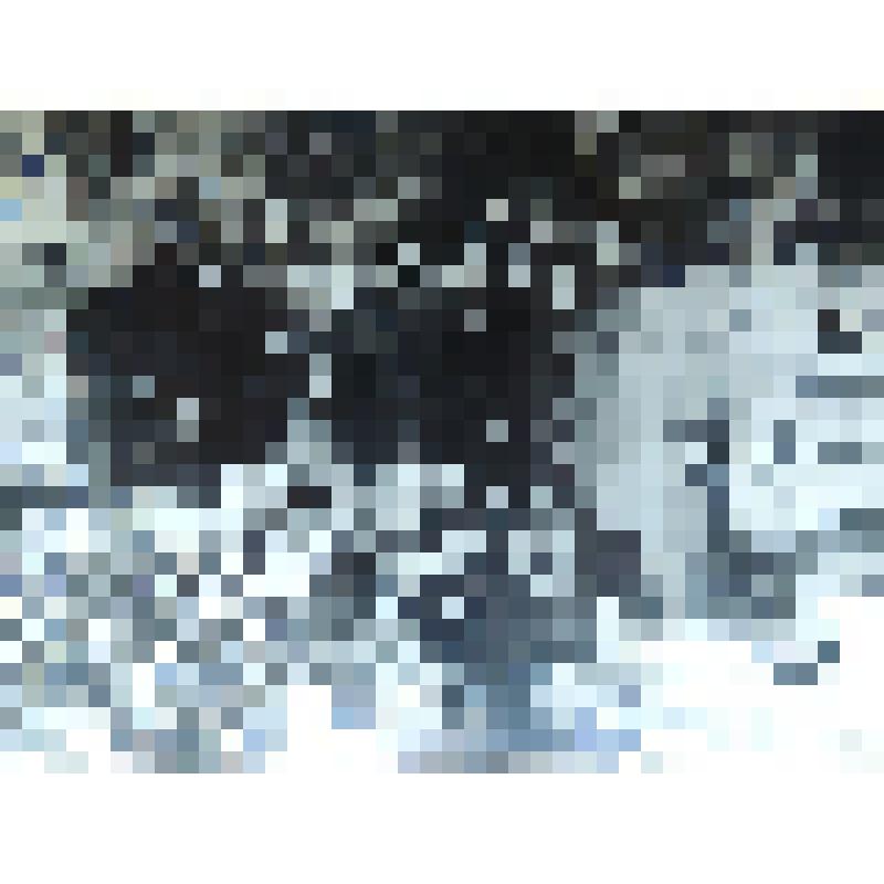 Фото: у могилы Груздева и Клебанского