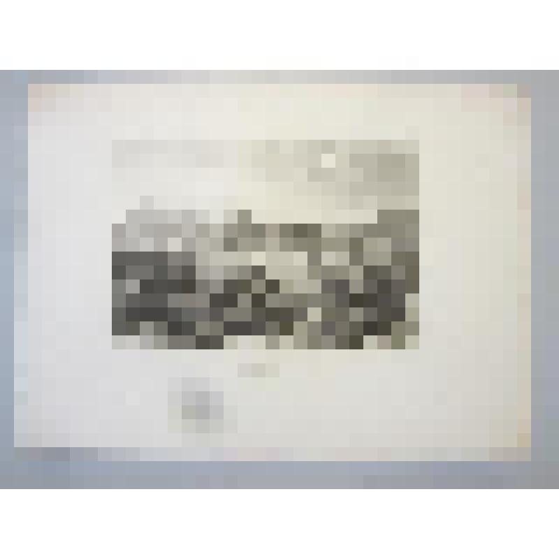 Sazburg (Зальцбург). Лист № LIX из издания «Meyer's Universum, oder, Abbildung und Beschreibung des sehenswerthesten und merkwürdigsten der Natur und Kunst auf der ganzen Erde»