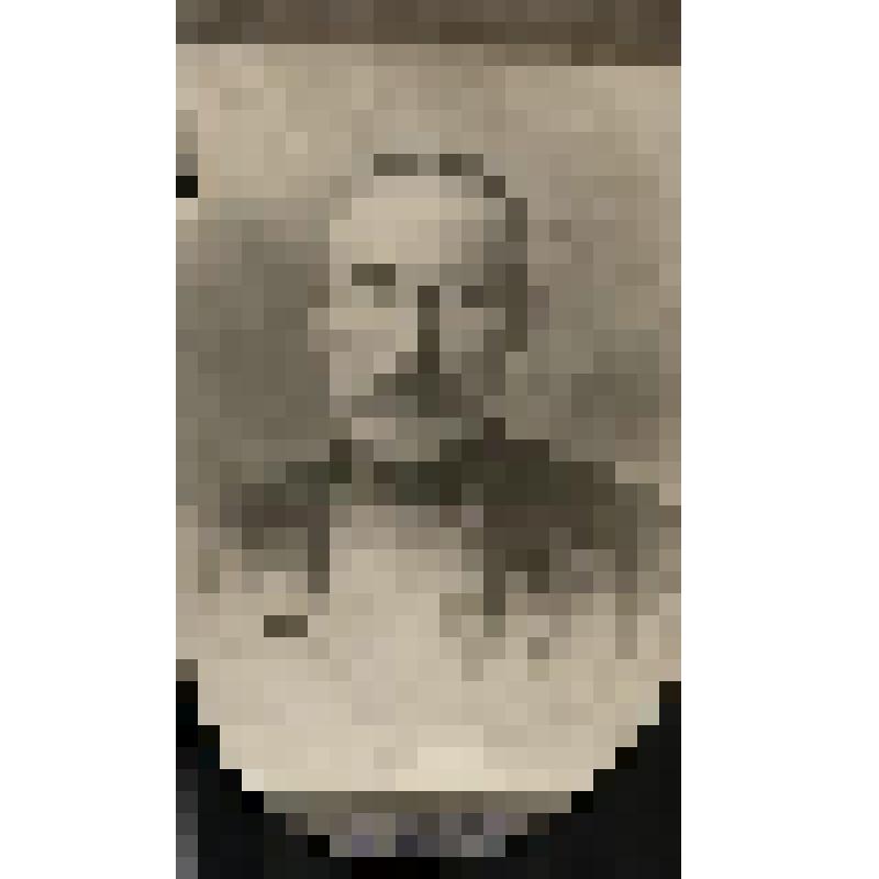 Фотография. Василий Маркович Галкин