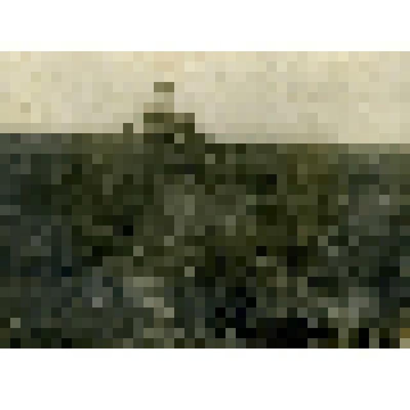 Врач Колмаков и коллекционер Терентьев на полевой экскурсии во время Ямальской экспедиции. Фотография