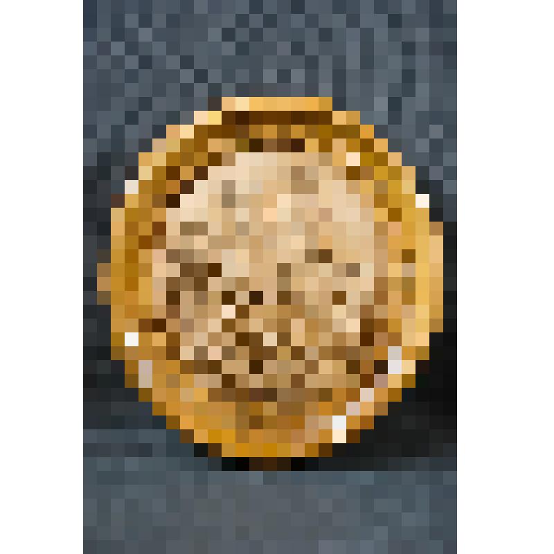 Панно настенное с портретом М.И.Платова (1751-1818), войскового атамана Донского казачьего войска