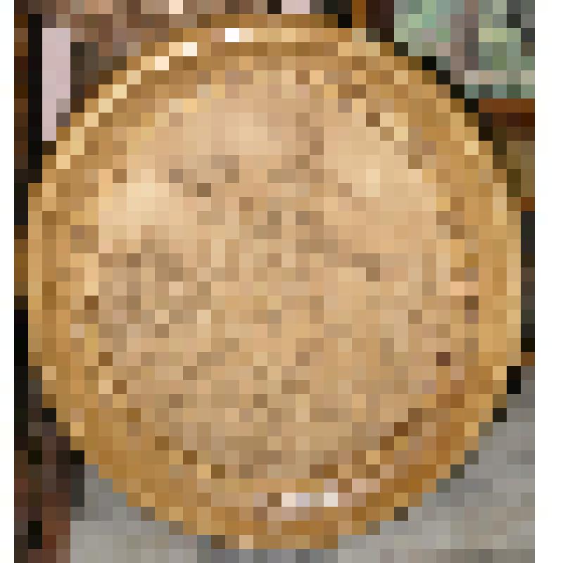 Панно настенное с портретом М.И.Платова (1751-1818), войскового атамана Донского казачьего войска