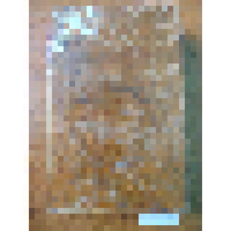 Книга. "Русская история". Н.Устрялова. Издание второе, исправленное. Часть четвертая. Новая история