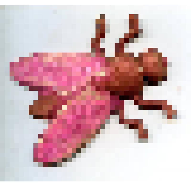 Игрушка елочная "Пчела"