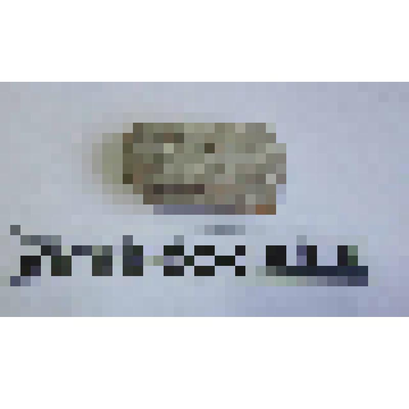 Ручка амфоры типа Зеест 72
