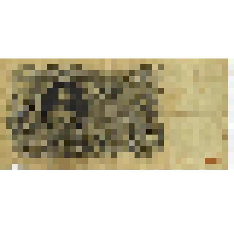 Государственный кредитный билет. Сто рублей