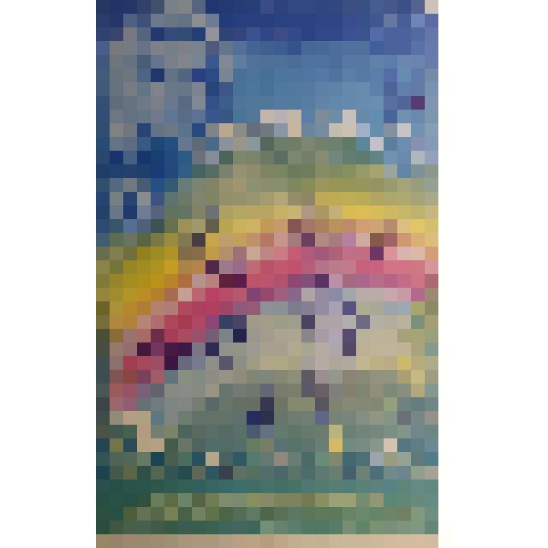 плакат. Фильм: Живая радуга. 1982