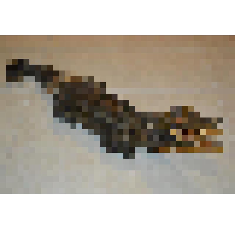 Чучело крокодила