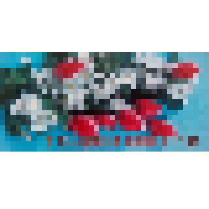 Открытка поздравительная Президенту Чувашской Республики Н.В. Федорову. С праздником Весны и Труда!