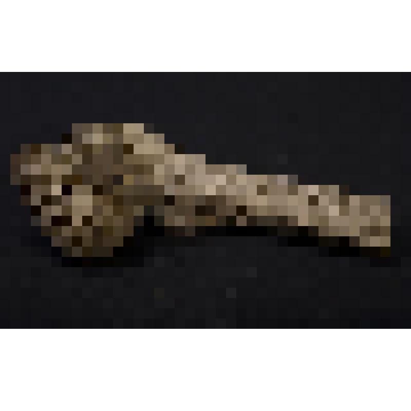 Сухой костный препарат: верхний отдел левой бедренной кости взрослого человека с деформированной головкой