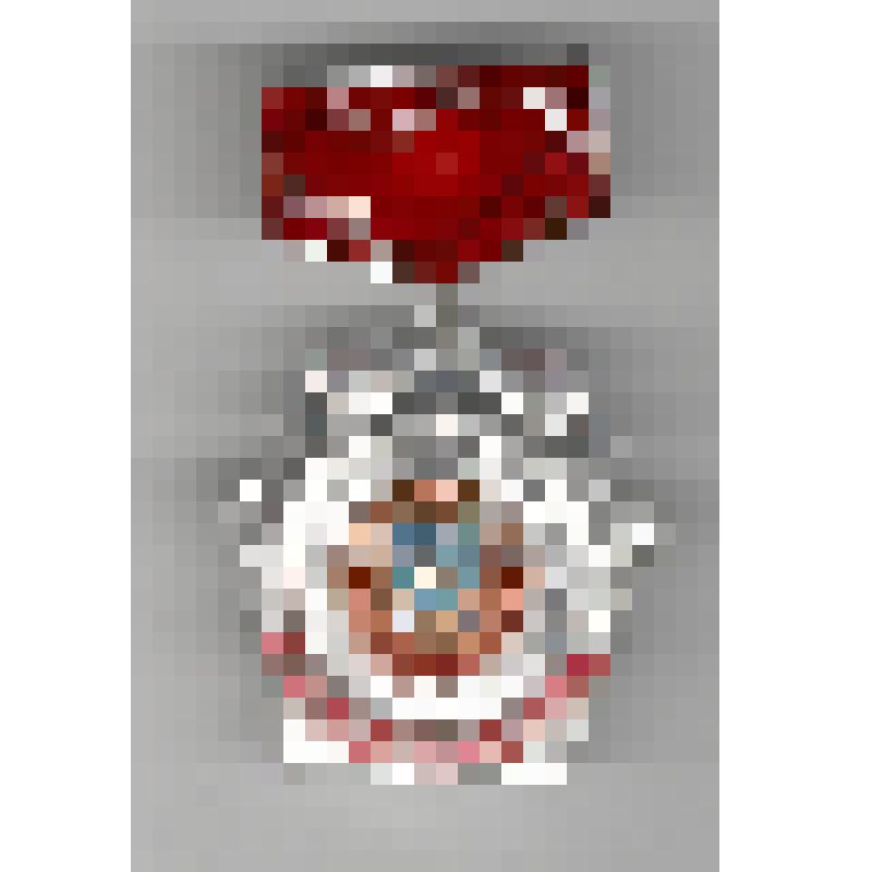 Знак нагрудный  «Пятидесятилетие союза ССР»