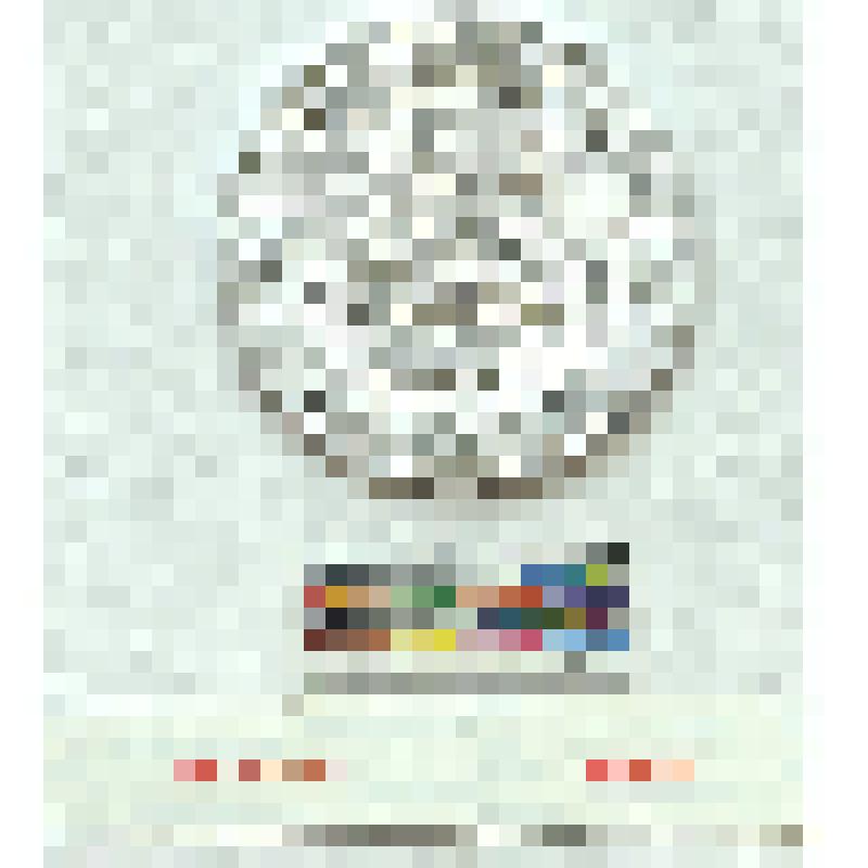 СССР. Медаль. Сувенирная медаль "Лодейное поле"