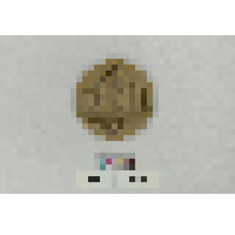 СССР. Памятная медаль Министерства финансов СССР. 1989 г